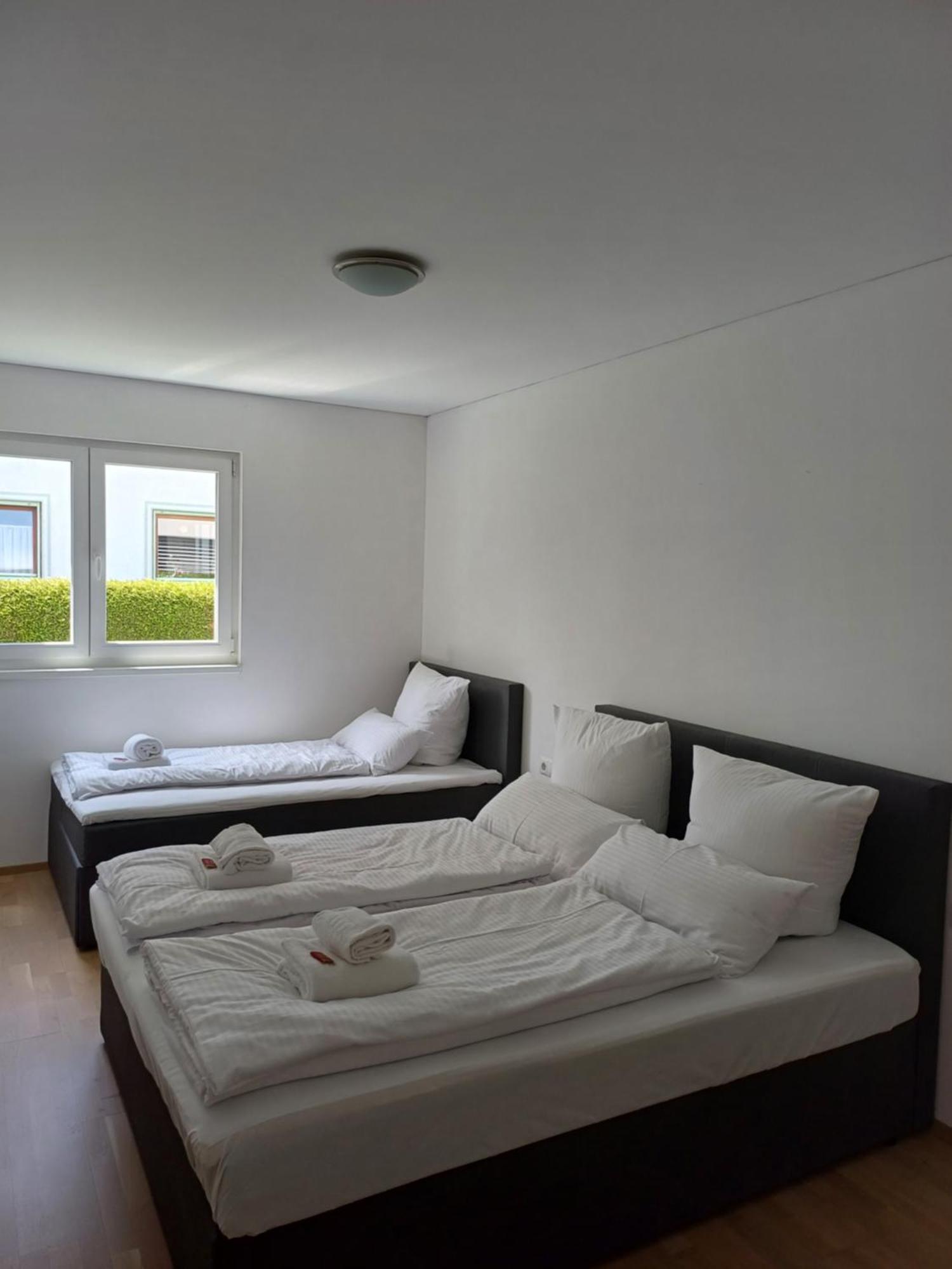 Crown Living Design Apartment - Gratis Parkplatz - Wlan - Kueche - Self Check-In Altach 외부 사진